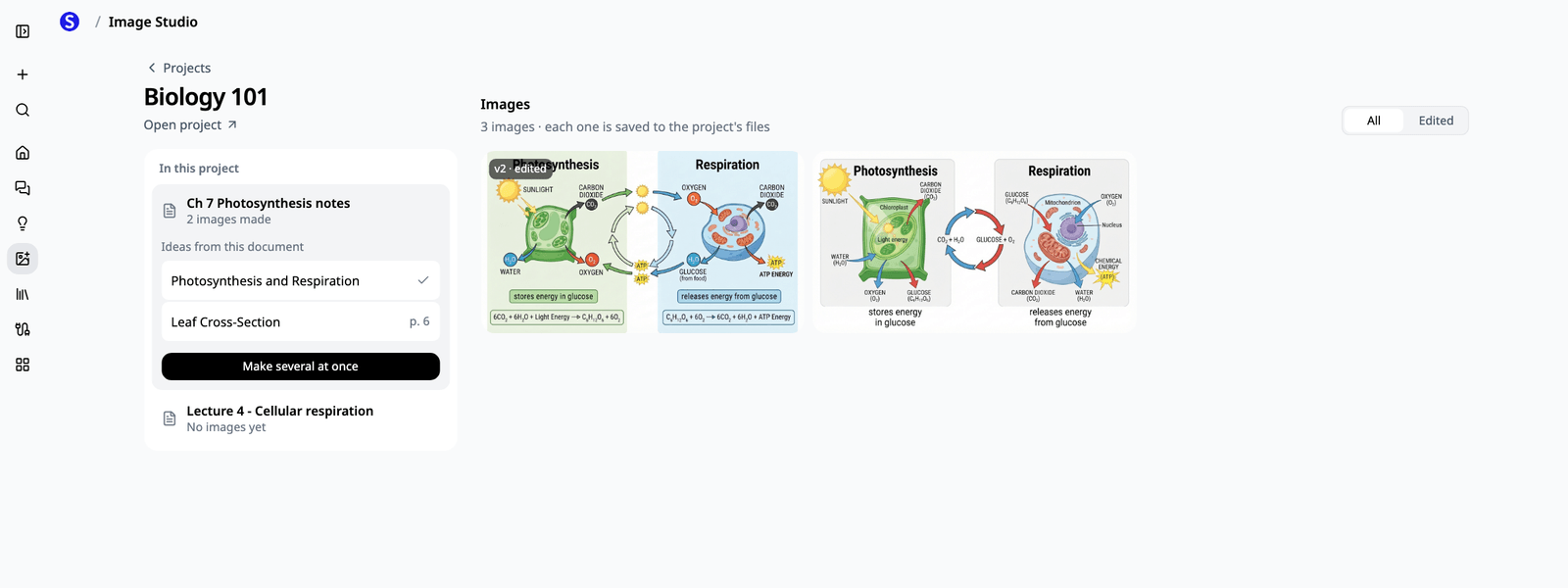 A project in Image Studio, with its documents and image ideas beside its images