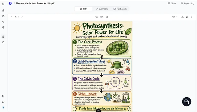 ScholarlyでPDFから生成された光合成のAIインフォグラフィック